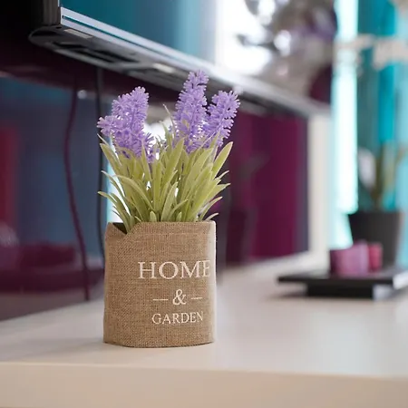 Apartment Ada Premium Bulevar